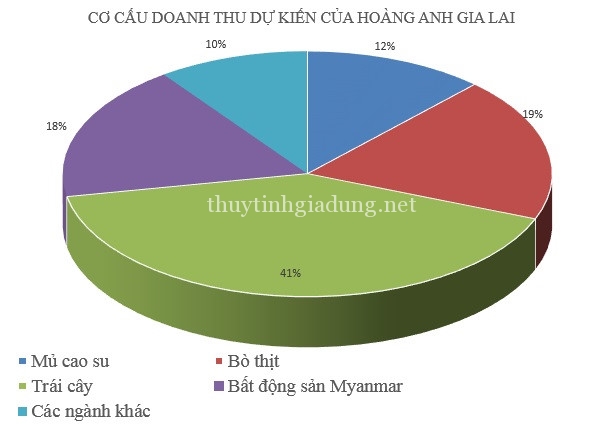 co_cau_doanh_thu_hag_2017